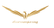 Wuhan Zhuoxuan Jiaxing Technology Co Ltd logo