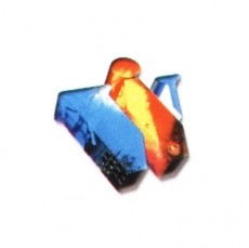 Western Industries logo